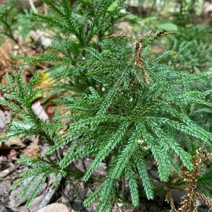 Meet your Posher, Kari